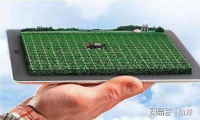 鄉(xiāng)村振興背景下數(shù)字農(nóng)業(yè)發(fā)展趨勢與實(shí)踐策略探析——聚焦智能農(nóng)業(yè)管理