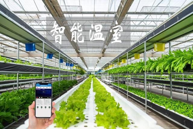 農(nóng)業(yè)物聯(lián)網(wǎng)賦能傳統(tǒng)大棚升級，手機(jī)管控溫濕度引領(lǐng)智能農(nóng)業(yè)新時代