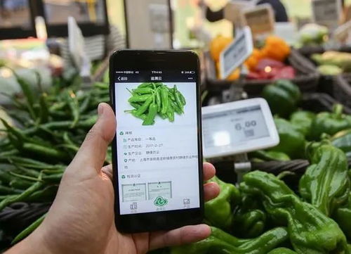 為什么要農(nóng)產(chǎn)品溯源？一文為你解答智能農(nóng)業(yè)管理