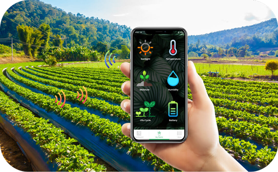 數(shù)字化鄉(xiāng)村智能管理 引領(lǐng)農(nóng)業(yè)革命，助推農(nóng)民增產(chǎn)致富