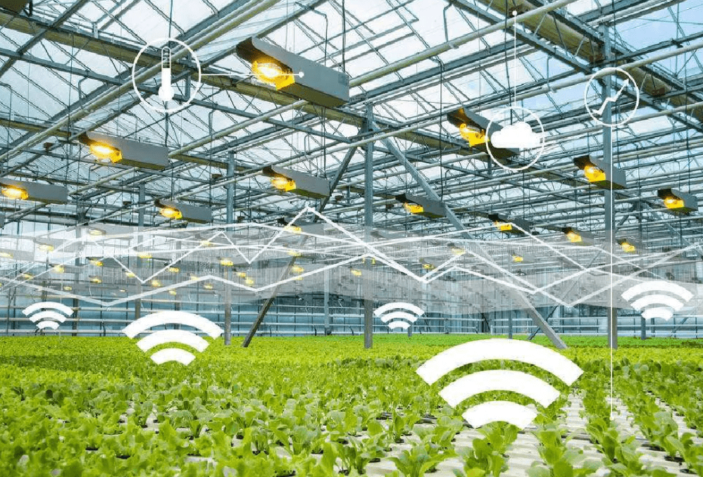 物聯網時代下，物聯卡在智慧農業中的應用場景與特性解析