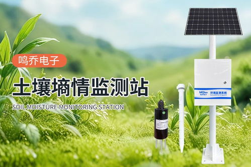 土壤墑情監測系統 農田的“智能聽診器”，賦能高效精準農業