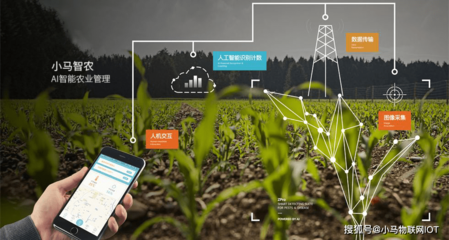 “智慧農業”助力鄉村振興 智能農業管理的變革與前景