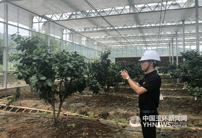智能農業 告別“看天吃飯”，開啟“智慧動腦”新紀元