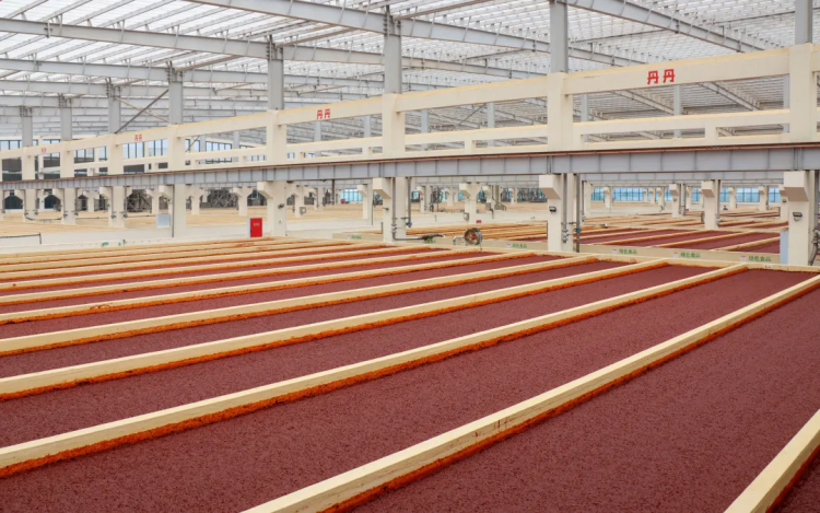 入選國家級(jí)重點(diǎn)培育名單！這勺郫縣豆瓣藏著川味的“世界通行證”與智能農(nóng)業(yè)管理