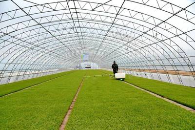 八五六·智慧農(nóng)業(yè) 數(shù)“聚”不凡 智創(chuàng)未來 智能農(nóng)業(yè)管理